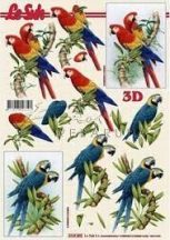 Papagáj, Fázisos 3D