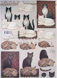 Fekete, Fehér és Cirmos macska, Fázisos 3D