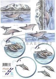 Delfinek, Fázisos 3D