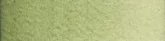 Akvarell festék Old Holland 6ml  052 Green Earth
