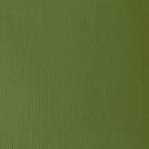 Akril paint Liquitex HB 59ml  166 króm oxide green