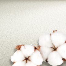 akvarell paper Hahnemühle 300g 56x76cm CP