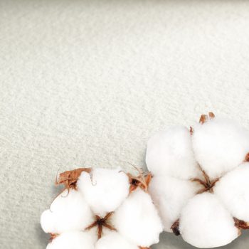 akvarell paper Hahnemühle 640g 56x76cm rough