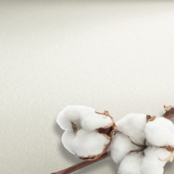 akvarell paper Hahnemühle 640g 56x76cm HP