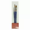 Set of brushes mester 1099 short handle 3 pcs