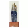 Set of brushes mester 1099 short handle 5 pcs