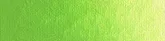   Akril festék New Masters 60ml  702 Old Holland Yellow-Green