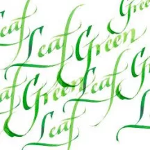 Kalligráfia tinta W&N 30ml - 341 Leaf Green
