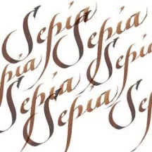 W&N kalligráfia tinta 30ml - 609 Szépia