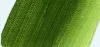 Oil paint Norma 35ml  512 olive green