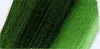 Oil paint Norma 35ml  514 sap green