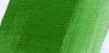 Oil paint Norma 35ml 516 króm oxide green Oil paint Norma 35ml 516 króm oxide green
