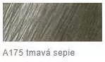Akvarell színes ceruza AD  175 sötét szépia