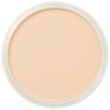 PanPastel 9ml – 280.8 narancs Tint