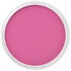 PanPastel 9ml – 430.5 magenta