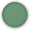 PanPastel 9ml – 640.3 Állandó zöld Shade