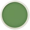 PanPastel 9ml – 660.5 Krómoxid zöld