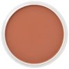 PanPastel 9ml – 740.5 Égetett sziéna