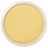 PanPastel 9ml – 910.5 világos arany