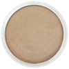 PanPastel 9ml – 930.5 bronz