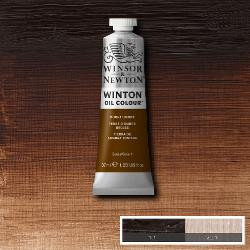 Oil paint Winton 37ml - 076 burnt umber