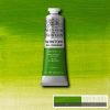 Oil paint Winton 37ml - 145 chrome green hue
