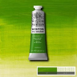 Oil paint Winton 37ml - 145 chrome green hue