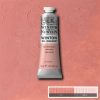 Oil paint Winton 37ml - 257 pale rose