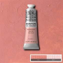 Oil paint Winton 37ml - 257 pale rose