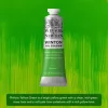 Oil paint Winton 37ml – 403 phthalo yellow green