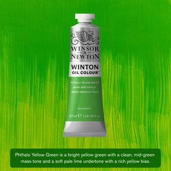 Oil paint Winton 37ml – 403 phthalo yellow green