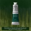 Oil paint Winton 37ml - 405 dark verdigris