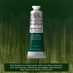 Oil paint Winton 37ml - 405 dark verdigris