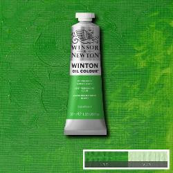 Oil paint Winton 37ml - 483 permanent green light