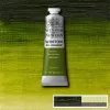 Oil paint Winton 37ml - 599 sap green