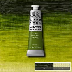 Oil paint Winton 37ml - 599 sap green