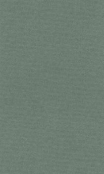 Színes papír Ropes 50x65cm - 14 sage