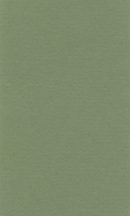 Színes papír Ropes 70x100cm – 13 sap green