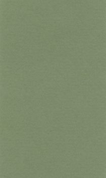 Színes papír Ropes 70x100cm – 13 sap green