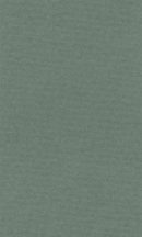 Lana színes papír A4 - 14 sage