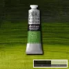 Artisan vízbázisú olajfesték 37ml - 503 permanent sap green