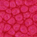 Szín Pébéo Fantasy Prisme 45ml  13 English red
