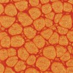 Pébéo Fantasy Prisme festék 45ml – 16 Mandarine