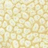Szín Pébéo Fantasy Prisme 45ml  20 Eggshell white