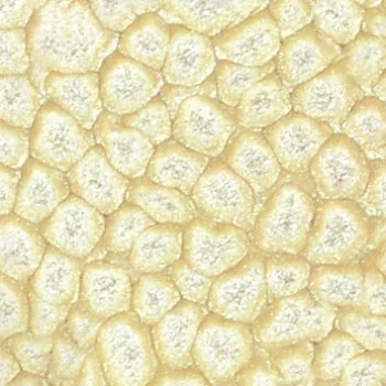 Szín Pébéo Fantasy Prisme 45ml 20 Eggshell white Szín Pébéo Fantasy Prisme 45ml 20 Eggshell white