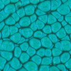 Szín Pébéo Fantasy Prisme 45ml 40 Turquoise Szín Pébéo Fantasy Prisme 45ml 40 Turquoise