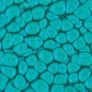 Szín Pébéo Fantasy Prisme 45ml  40 Turquoise