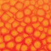 Szín Pébéo Fantasy Prisme 45ml  61 Fluorescent orange
