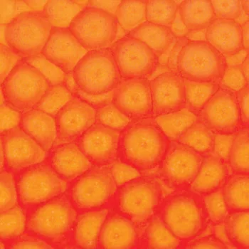 Szín Pébéo Fantasy Prisme 45ml  61 Fluorescent orange