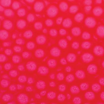 Szín Pébéo Fantasy Prisme 45ml  62 Fluorescent pink